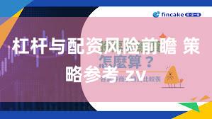 杠杆与配资风险前瞻 策略参考 zv